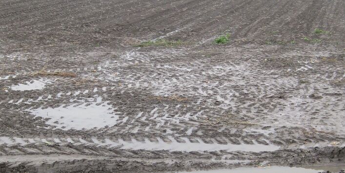Foto mir Wasser auf einem Acker