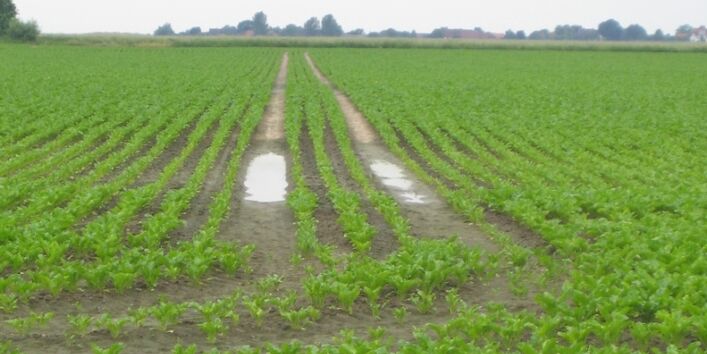 Foto mit Wasser in einer Bearbeitungsspur