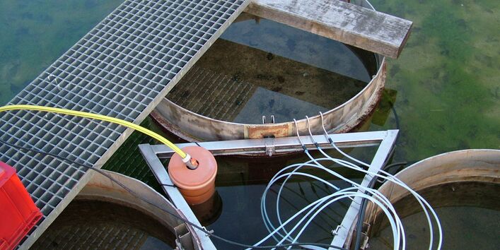 Aufsicht auf Säulensegmente im Wasserbecken.