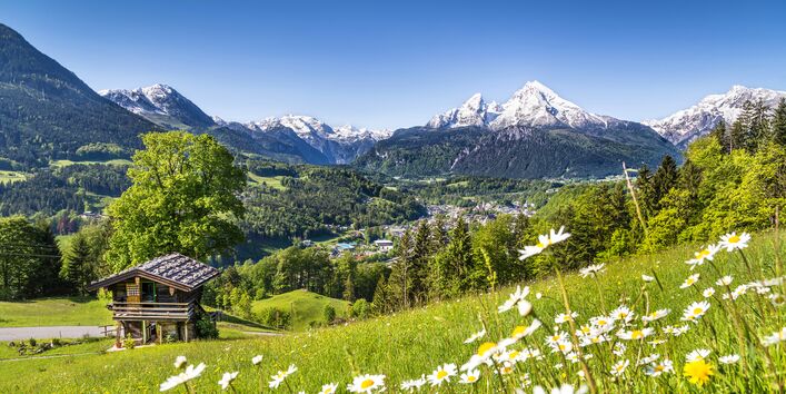 blühende Bergwiese mit Blockhütte, im Hintergrund schneebedeckte Gipfel