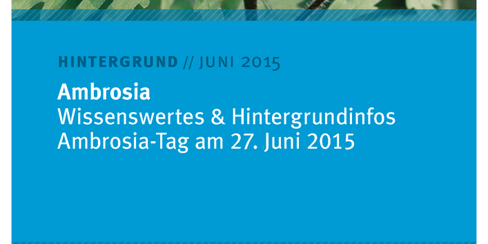 blaues Cover des Hinrtergrundpapiers "Ambrosia: Wissenswertes & Hintergrundinfos - Ambrosia-Tag am 27. Juni 2015" vom Juni 2015. Oben ein Foto einer Ambrosia-Pflanze, unten die Logos vom Julius Kühn-Institut und Umweltbundesamt