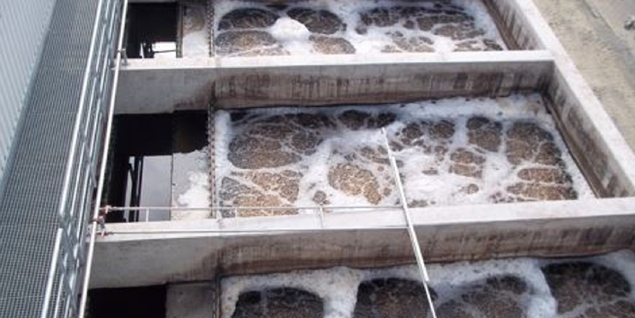 eine Reihe Betonbecken mit schmutzigen, aufgeschäumten Wasser