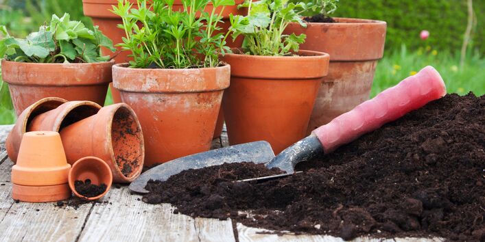 Blumenerde, kleine Schaufel und frisch in Tontöpfe getopfte Pflanzen