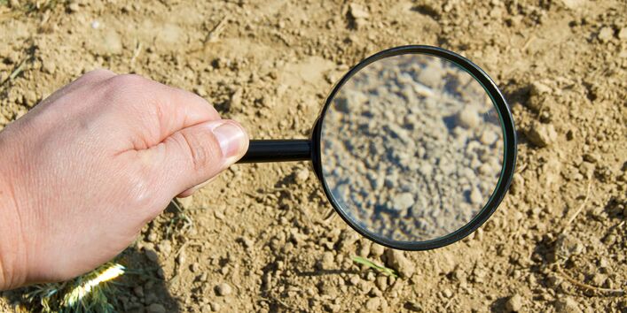 ein Boden wird mit der Lupe angeschaut