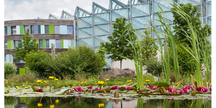 Titelseite der Broschüre "Auf dem Weg zum treibhausgasneutralen UBA: Umwelterklärung des Umweltbundesamtes 2017". Das Titelfoto zeigt einen Teich mit See- und Teichrosen, im Hintergrund das Gebäude des Umweltbundesamtes in Dessau mit moderner Holz-Glas-Fassade. Unten die Logos EMAS und Umweltbundesamt