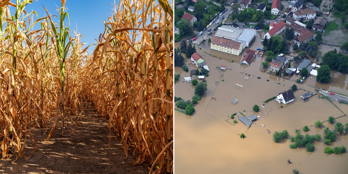 Collage of two photos: on the left a dried up corn field, on the right a flooded settlement