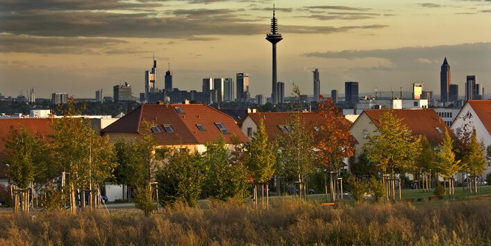 Die Stadt Frankfurt am Main mit Fernsehturm, im Vordergrund eine Brache und Wohnhäuser