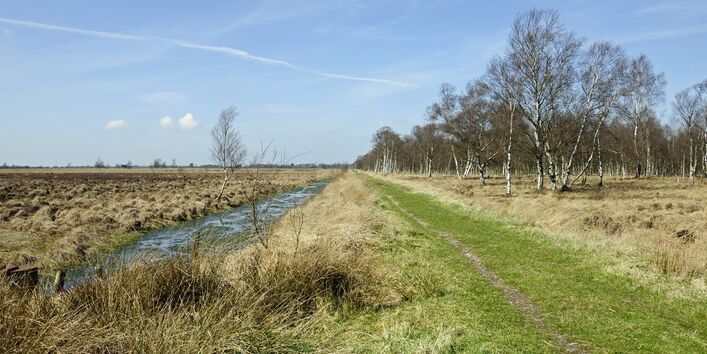 drainage channel through a peatland