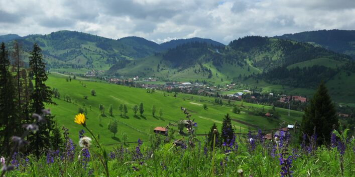 Berglandschaft mit blühenden Wiesen, im Tal ein Dorf
