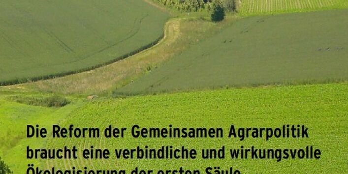 Cover der Publikation "Die Reform der Gemeinsamen Agrarpolitik braucht eine verbindliche und wirkungsvolle Ökologisierung der ersten Säule" mit Foto einer Landschaft