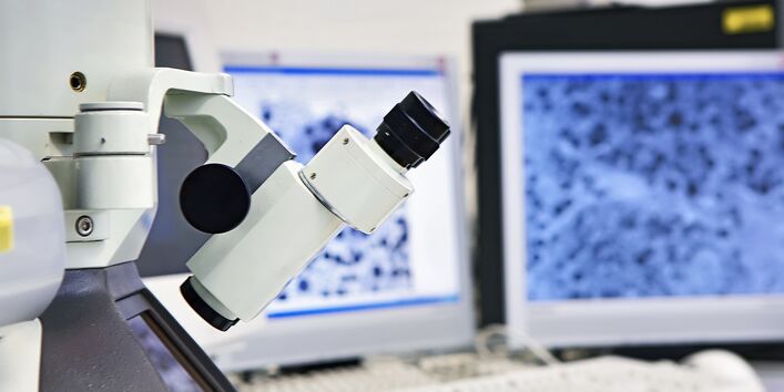 Mikroskop, das Mikroskopbild wird auf Computermonitore übertragen