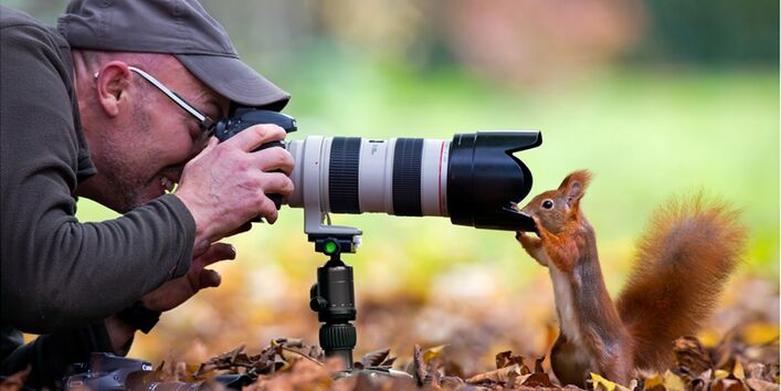 ein Eichhörnchen schaut in das Objektiv eines Fotografen, der sich mit seiner Fotoausrüstung auf den Boden gelegt hat, um zu fotografieren