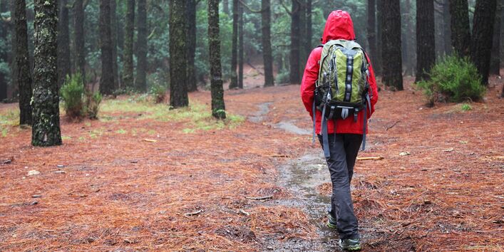 Wanderer mit einer roten Regenjacke und einem Rucksack läuft durch einen Wald bei Regen