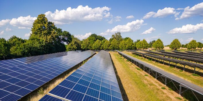 Schräg aufgeständerte Reihen Photovoltaikmodule auf einer Wiese in der freien Landschaft