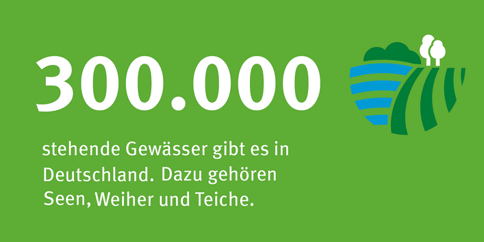 auf grünem Hintergrund steht: 300.000 stehende Gewässer gibt es in Deutschland. Dazu gehören Seen, Weiher und Teiche