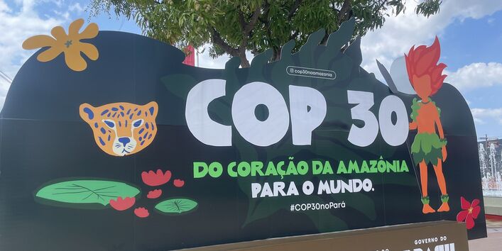 Logo: COP30 Brasil