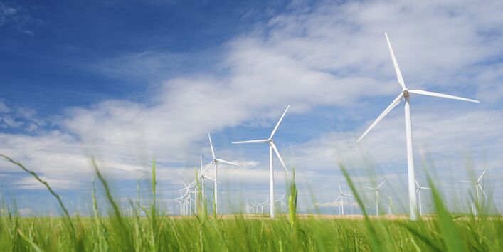 weißer Windpark vor blauem Himmel mit Schönwetterwolken, vor die Kulisse ragen grüne Blätter und Halme einer Wiese oder eines Getreidefeldes