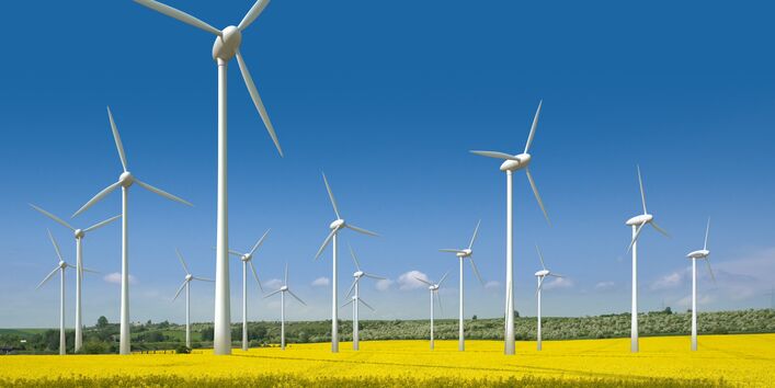 Windpark auf einem blühenden Rapsfeld