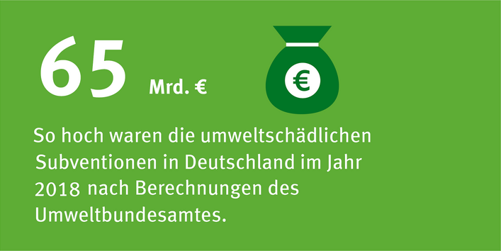 Auf grünem Hintergrund steht: 65 Milliarden Euro: So hoch waren die umweltschädlichen Subventionen in Deutschland im Jahr 2018 nach Berechnungen des Umweltbundesamtes.