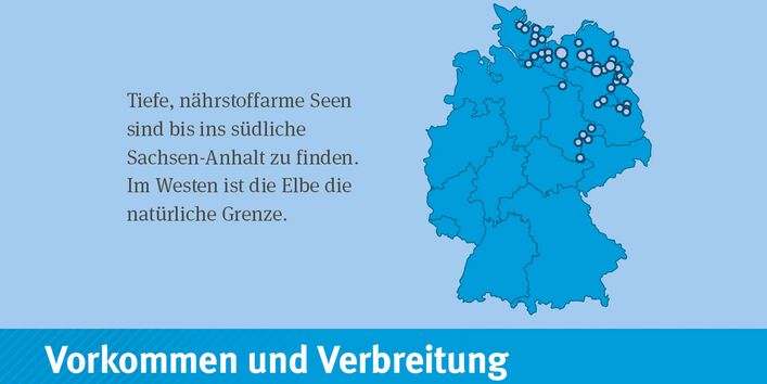 Deutschlandkarte: Der Gewässertyp 2014 kommt in Jungmoränengebiet von Brandenburg, Mecklenburg-Vorpommern, Schleswig-Holstein und Sachsen-Anhalt vor.