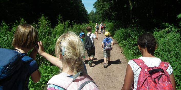 Biosphärenreservat Dessau: Eine Gruppe von Schulkindern spaziert einen Waldweg entlang