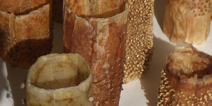 künstlerisch gestaltete Kakteen