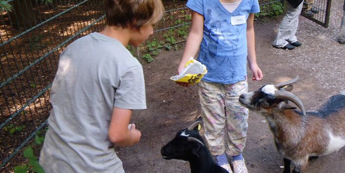 Zwei Kinder füttern Ziegen im Tiergehege des Tierparks Dessau.