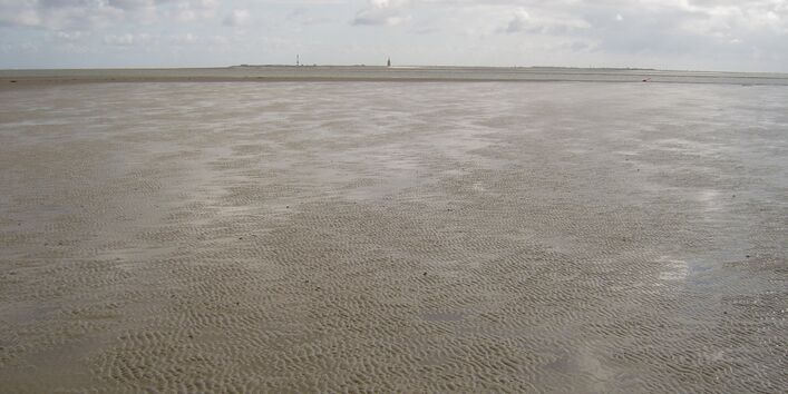 Wattenlandschaft bei Wangerooge bei Ebbe