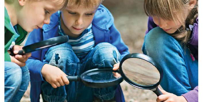 Cover Bodenaktions-Planer