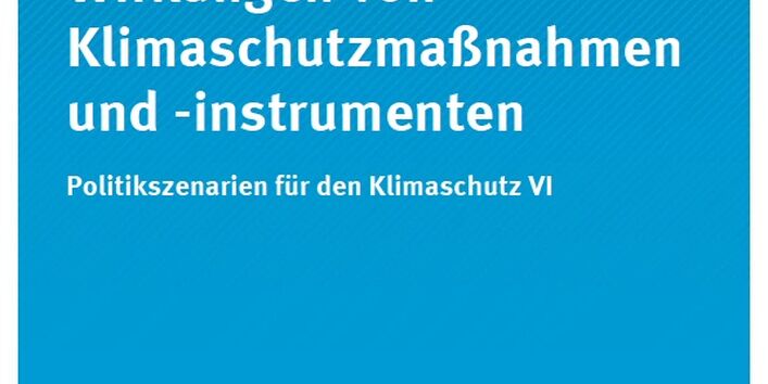 Cover Climate Change 21/2013 Gesamtwirtschaftliche Wirkungen von Klimaschutzmaßnahmen und -instrumenten