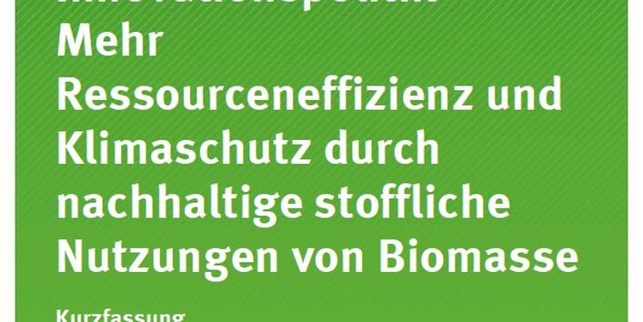 Cover Texte 02/2014 Ökologische Innovationspolitik – Mehr Ressourceneffizienz und Klimaschutz durch nachhaltige stoffliche Nutzungen von Biomasse Kurzfassung