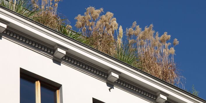 Haus mit Dachbegrünung