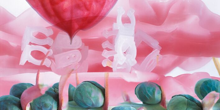 Fotomontage mit Kohlköpfen