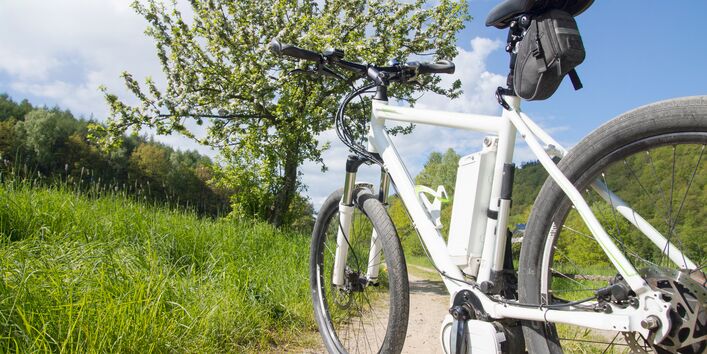 E-cycles on a field path