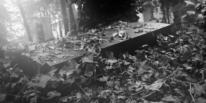 Tombstone, covered with leaves