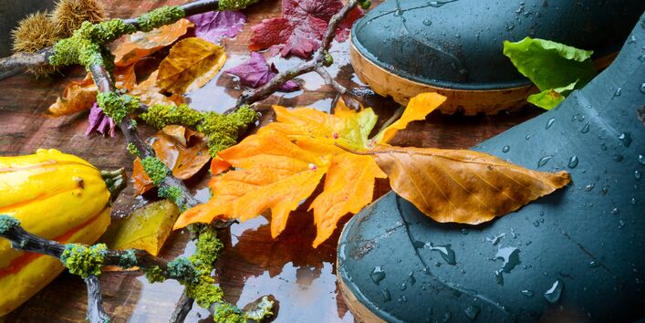 Gummistiefel im Regen und Herbstlaub