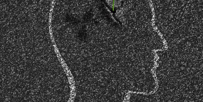 Mit Kreide gemalter Kopf auf Asphalt und sprießende kleine Pflanze