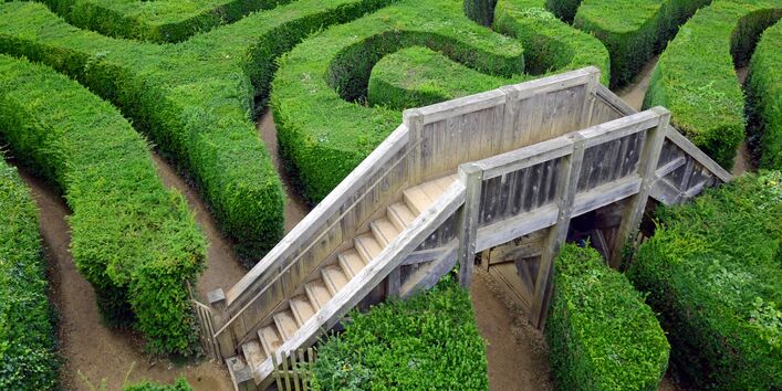 grünes Labyrinth mit Aussichtsplattform und Treppe aus Holz