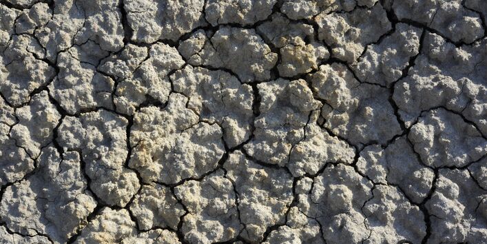 Nahaufnahme eines trockenen, unbewachsenen Bodenstücks.