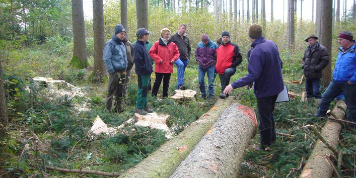 Gruppe von Personen im Wald vor älterem Nadelbestand mit Laubbaumunterpflanzung.