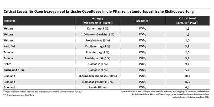 Tabellarische Auflistung der Critical Levels für Ozon für kritische Ozonflüsse in die Pflanzen, dargestellt an verschiedenen Baumarten und Nutzpflanzen.