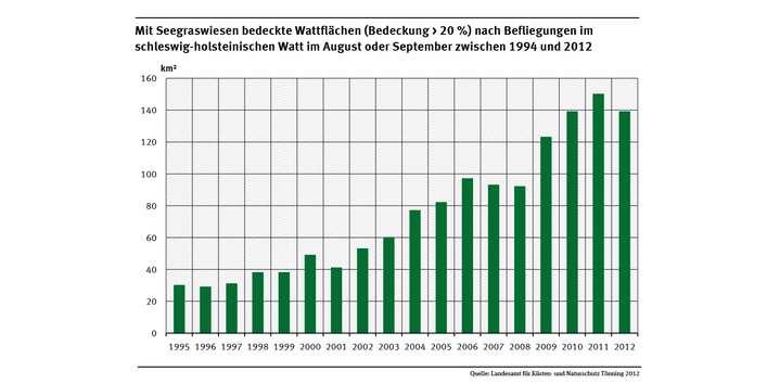 Seit 1994 nimmt der Seegrasbestand auf nordfriesischen Watten vor der Küste Schleswig-Holsteins kontinuierlich zu, unterliegt aber jährlichen Schwankungen.