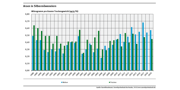 Silbermöweneier von der schleswig-holsteinischen Insel Trischen waren meist etwas stärker mit Arsen belastet als Möweneier von der niedersächsischen Insel Mellum. Allerdings steigt die Belastung auf Mellum seit etwa 2006 deutlich (um 100 Prozent).