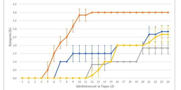 Darstellung als Kurvendiagramm, Gruppe A blau, Gruppe B orange, Gruppe C grau, Gruppe D gelb