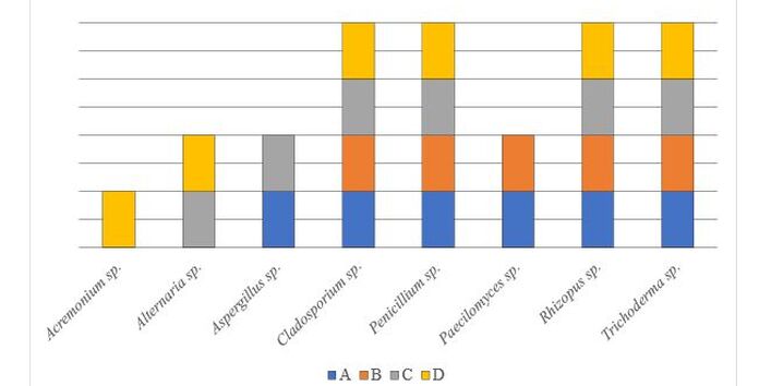 Darstellung als Säulendiagramm; Gruppe A blau, Gruppe B orange, Gruppe C grau, Gruppe D gelb