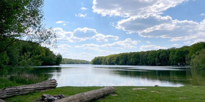 Badesee mit Baumstamm zum Sitzen im Bildvordergrund.