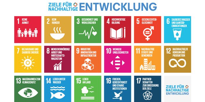 The 17 Sustainable Development Goals adopted by the United Nations.