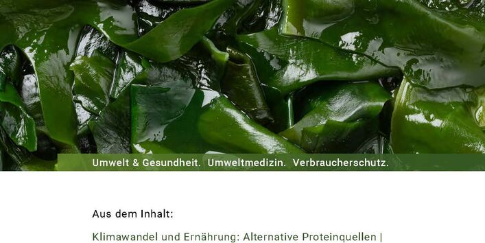 Das Cover der Publikation