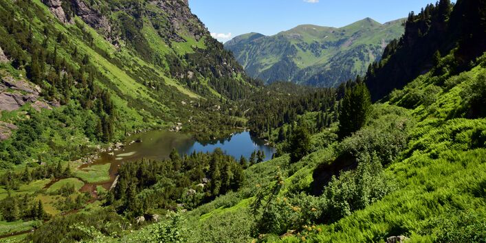 Titelbild Publication