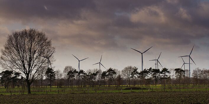 Felder mit Bäumen und einem Windpark